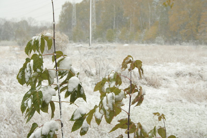 IMG_0765.jpg1.jpg"%20height="533"%20width="800